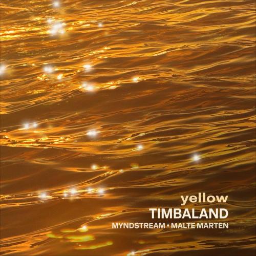 Timbaland & Malte Marten - At Night (feat. Myndstream)