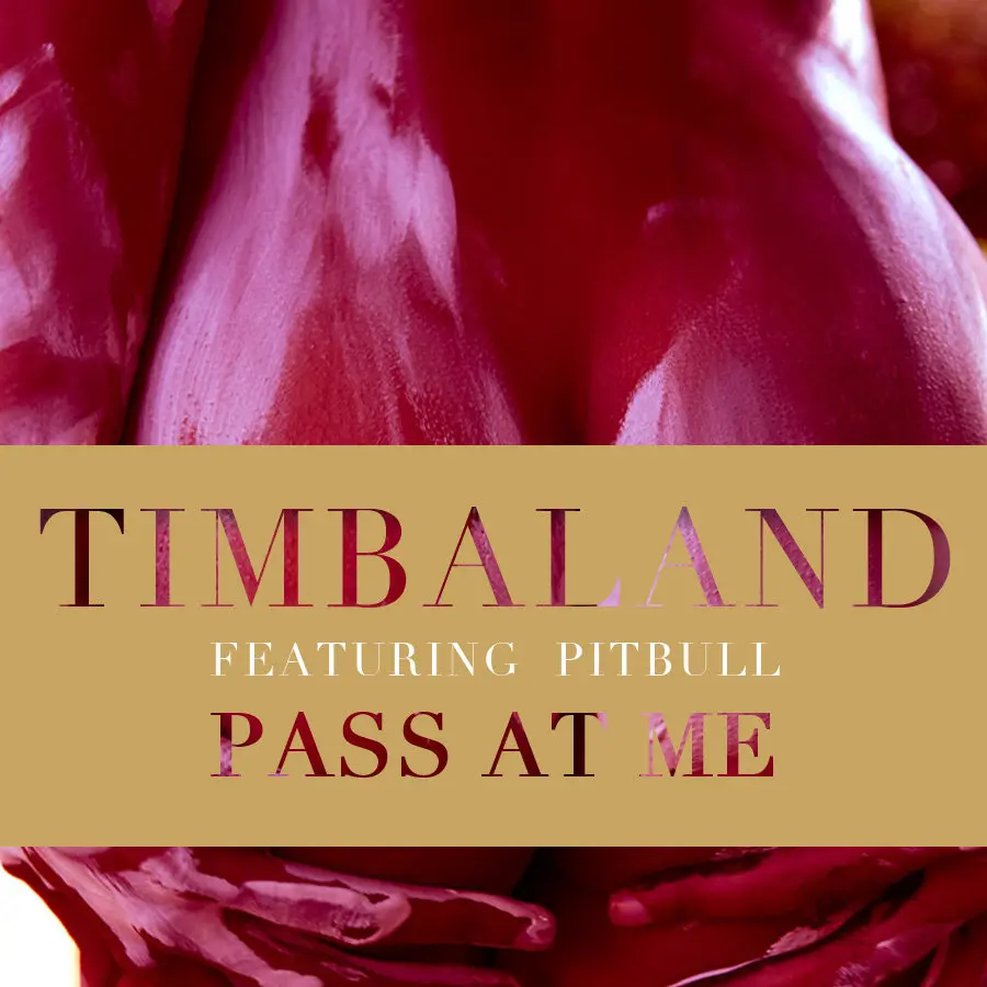 Pass At Me (Clean Edit) - Timbaland, Pitbull