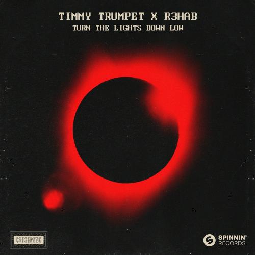 Turn The Lights Down Low - Timmy Trumpet feat. R3hab
