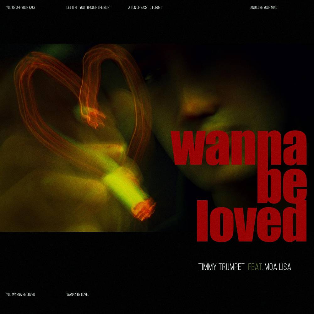 Wanna Be Loved (feat. Moa Lisa) - Timmy Trumpet