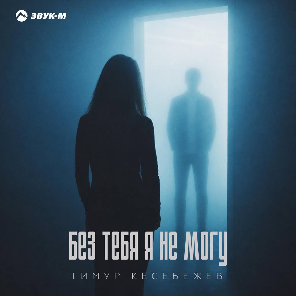 Без тебя я не могу - Тимур Кесебежев