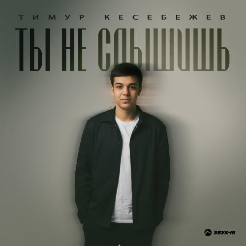 Тимур Кесебежев - Ты не слышишь