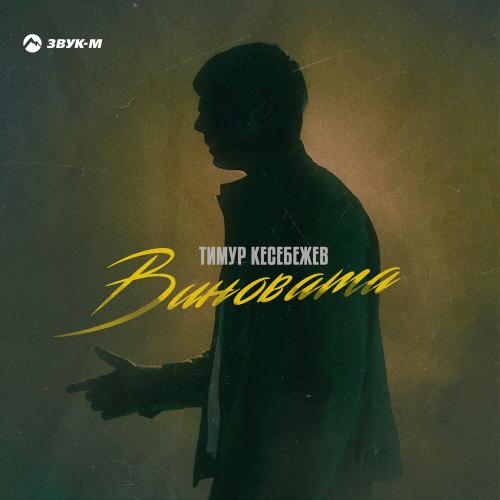 Тимур Кесебежев - Виновата