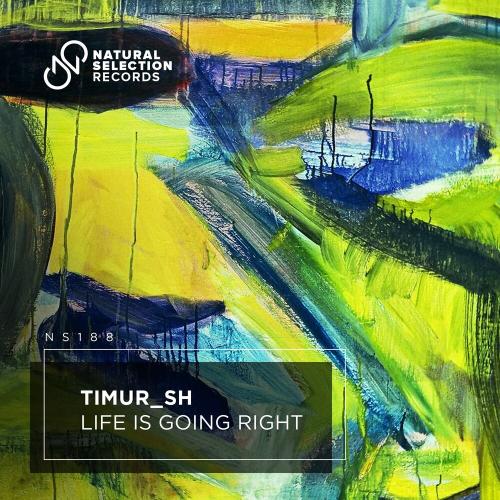 Life Is Going Right - Timur_SH
