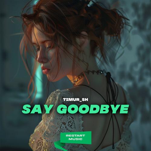 Say Goodbye - Timur_SH