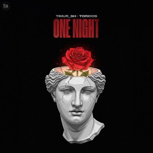 Timur_SH & Toricos - One Night