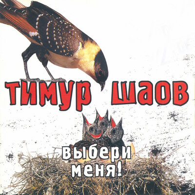 Хам - Тимур Шаов