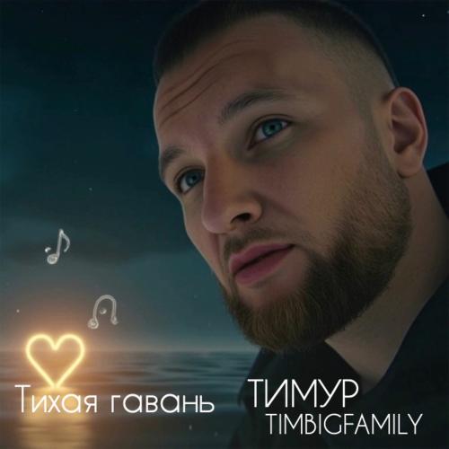 Тимур Timbigfamily - Тихая Гавань