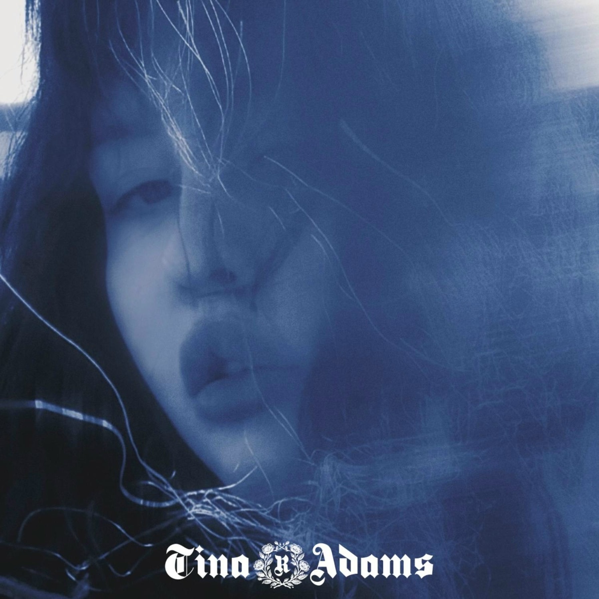 Nazovi - TINA R ADAMS