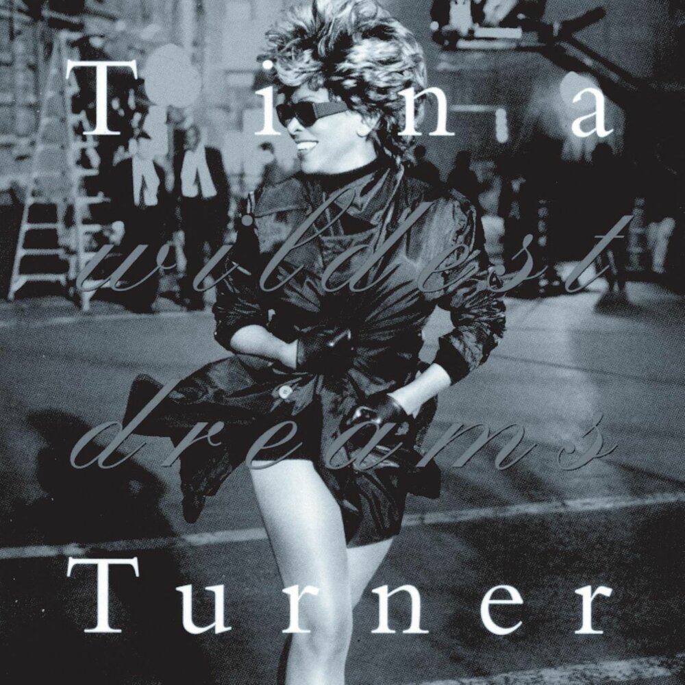 In Your Wildest Dreams - Tina Turner