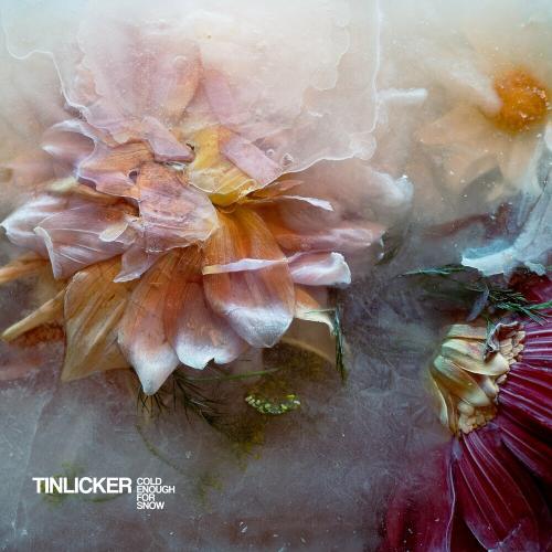 Tinlicker feat. Julia Church - Glasshouse