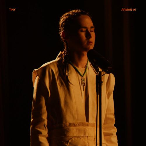 TINY - Arman-ai