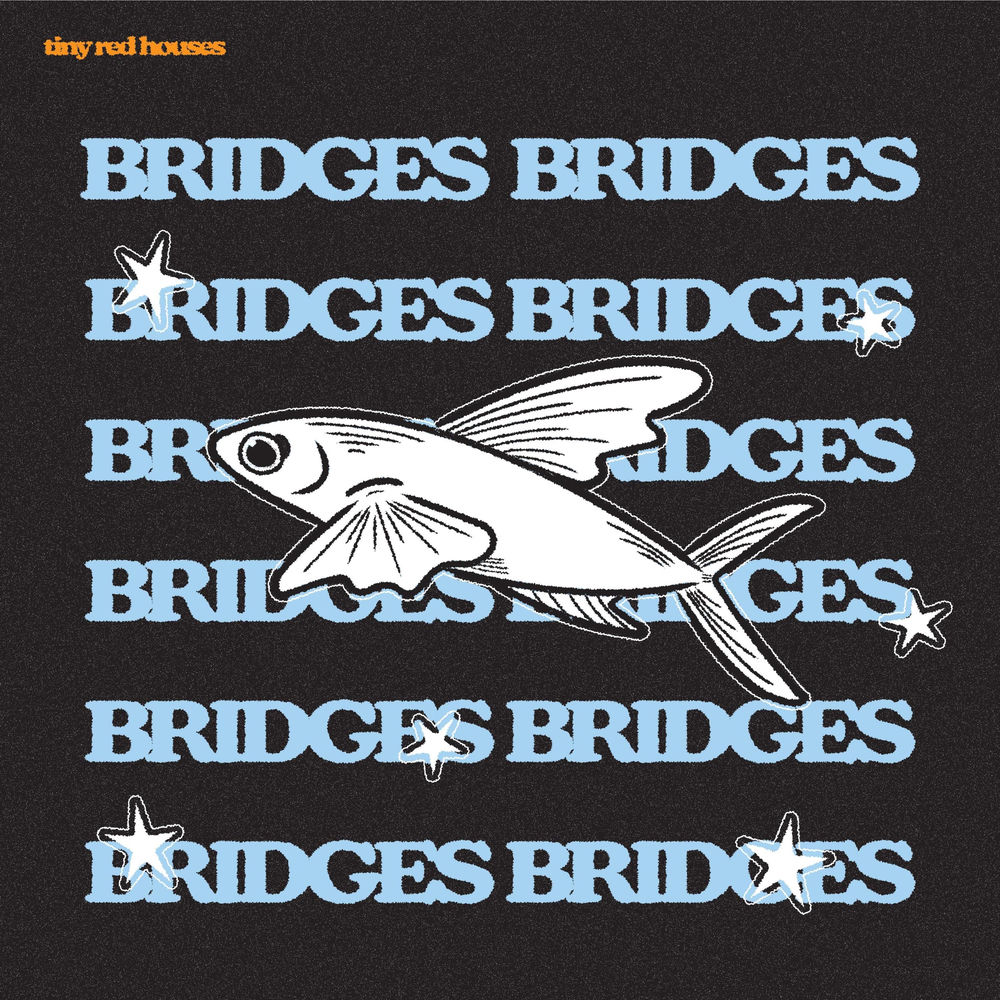 Tiny Red Houses - Bridges