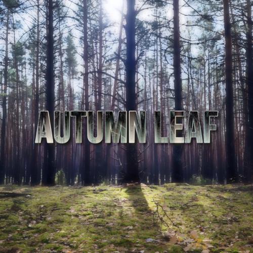 Autumn Leaf - Titov & GOLSKIY