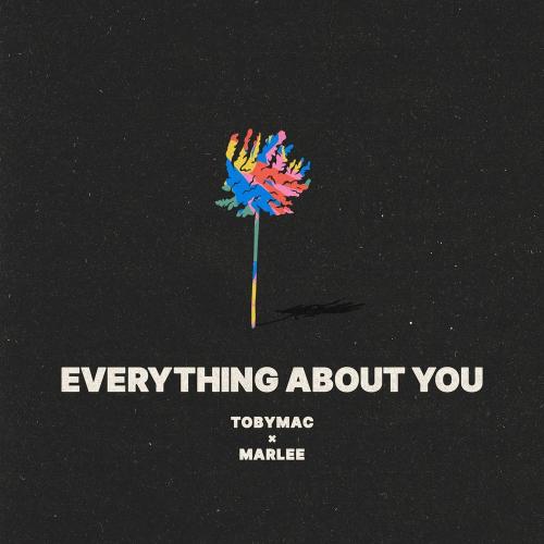 Everything About You - Tobymac feat. Marlee