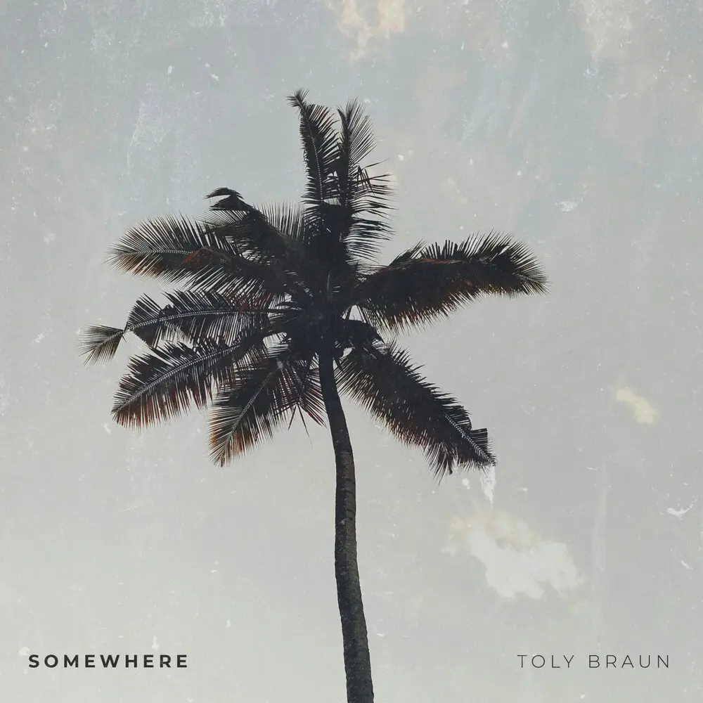 Somewhere - Toly Braun