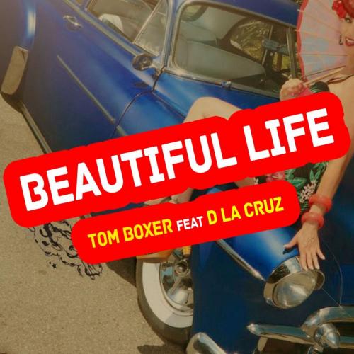 Tom Boxer feat. D La Cruz - Beautiful Life