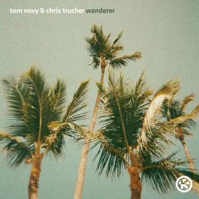 Wanderer - Tom Novy, Chris Trucher