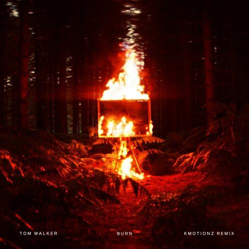 Tom Walker & K Motionz - Burn (K Motionz Remix)
