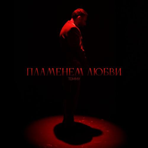Пламенем любви - TOMEE