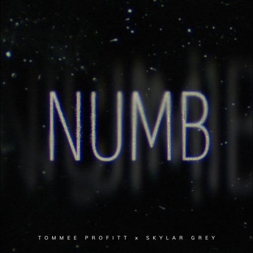 Tommee Profitt feat. Skylar Grey - Numb