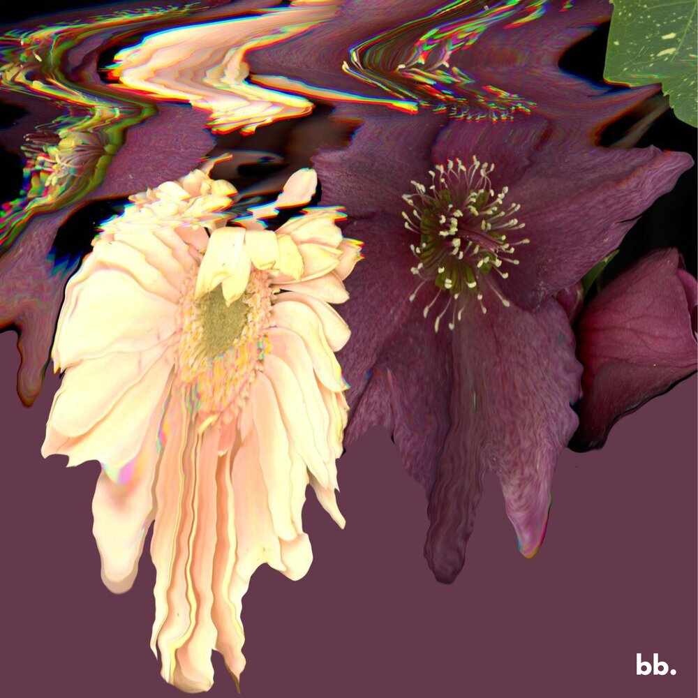 sprung - Tonion