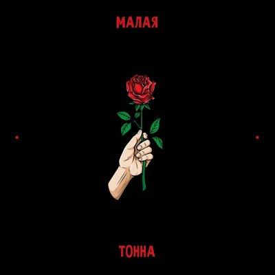 Тонна - Малая