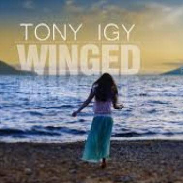 Tony Igy - Winged (рингтон)