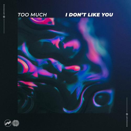 Too Much - I Don't Like You