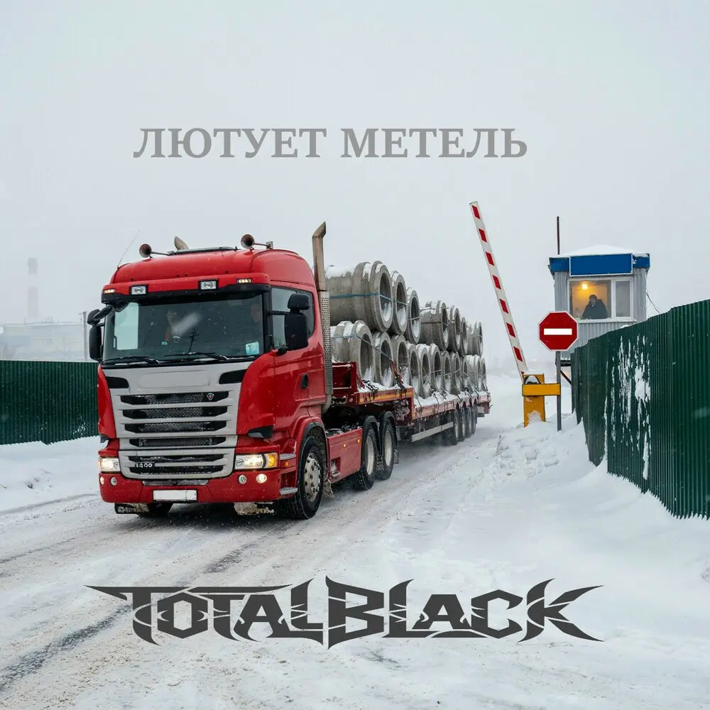 Лютует метель - TotalBlack