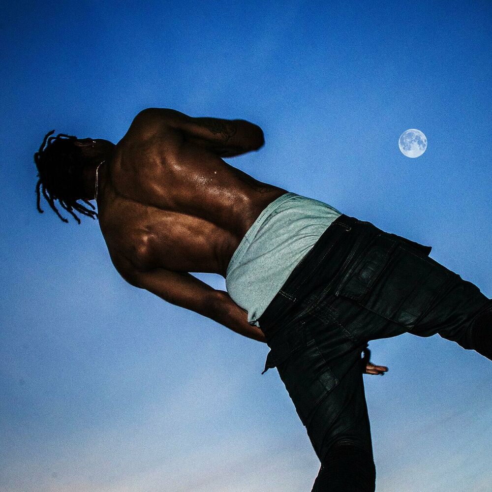 Skyfall - Travis Scott & Young Thug