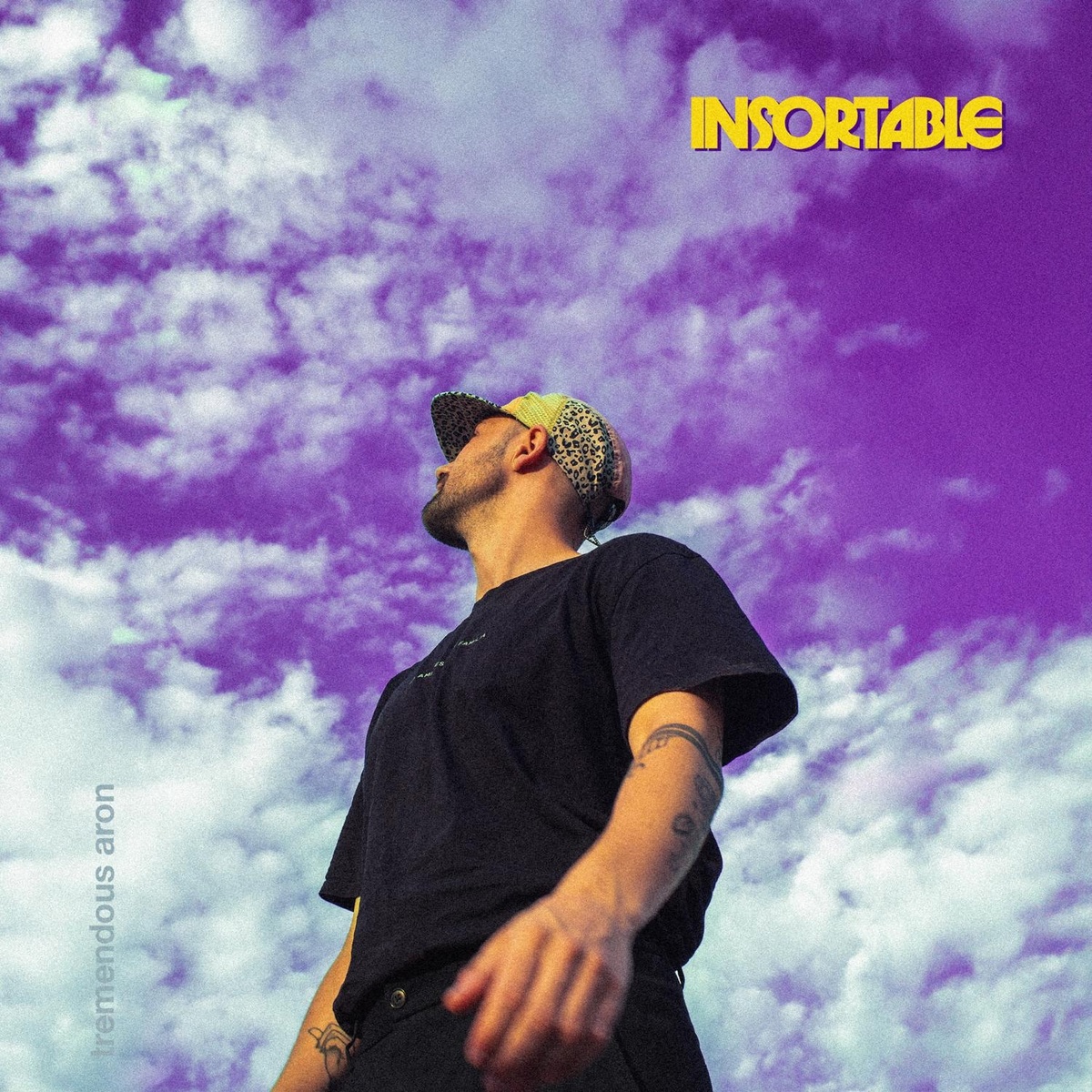 Insortable - Tremendous Aron