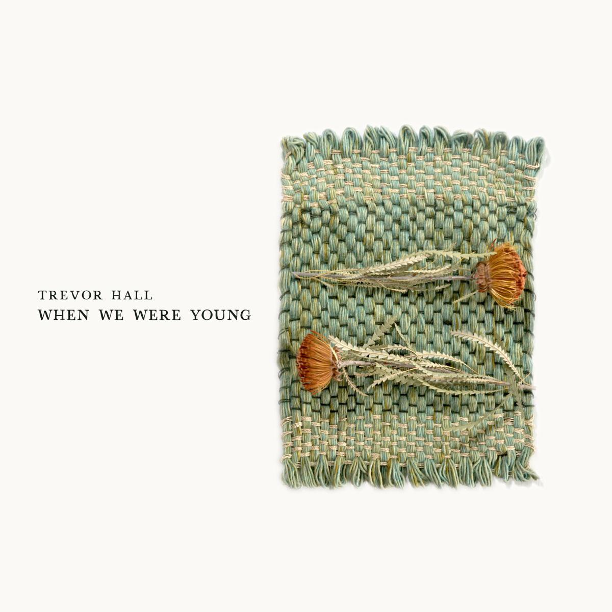 when we were young - Trevor Hall