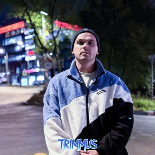 TRIMMUS - Дорога дальняя