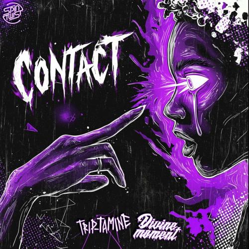 Trip-Tamine & Divine Moment - Contact