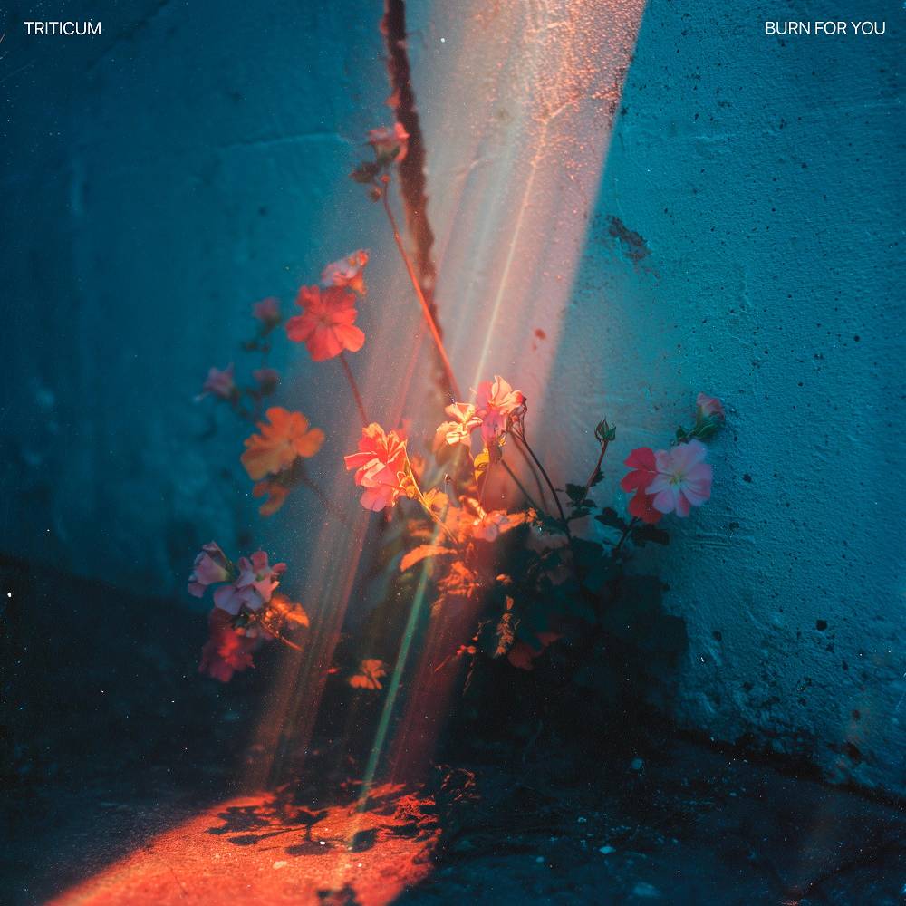 Burn for You - TRITICUM