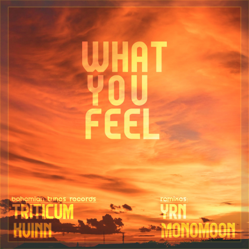 What You Feel - TRITICUM & Kvinn
