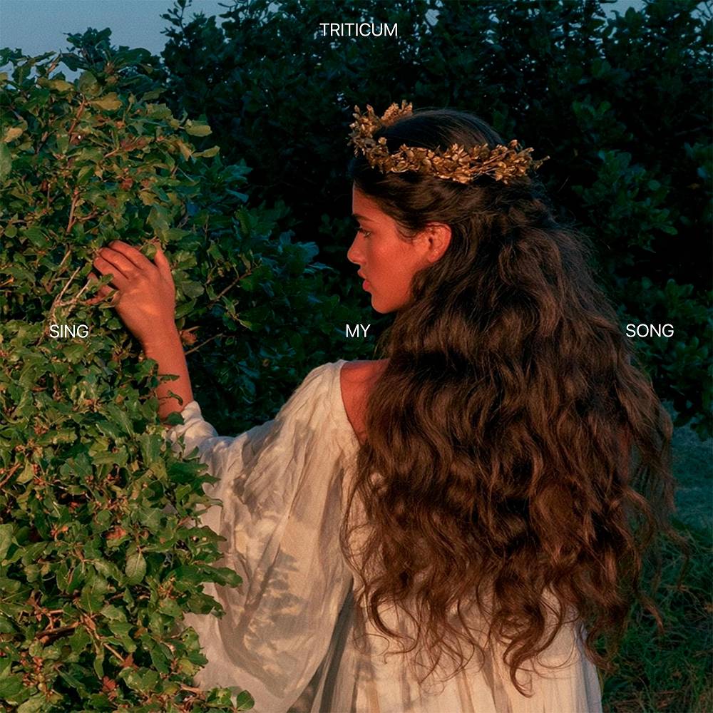Sing My Song - TRITICUM