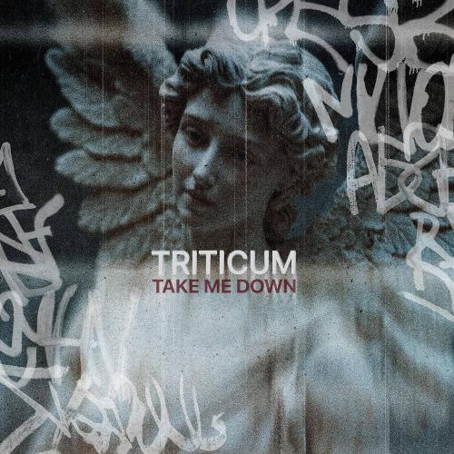 Take Me Down - TRITICUM
