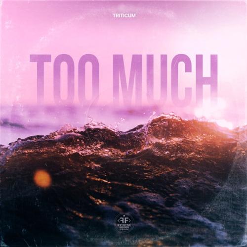 Too Much - TRITICUM