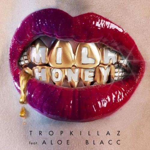Tropkillaz feat. Aloe Blacc - Milk & Honey
