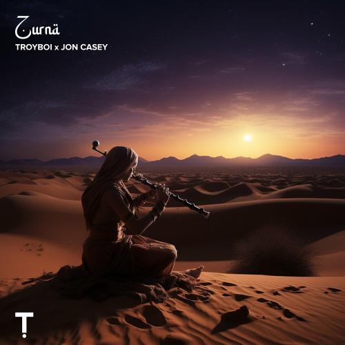 Troyboi & Jon Casey - Zurna