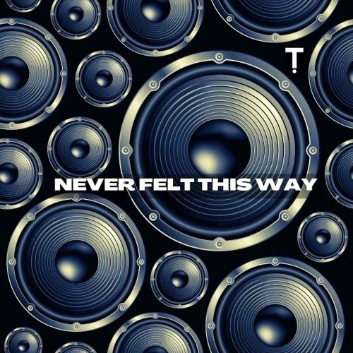 Never Felt This Way - Troyboi
