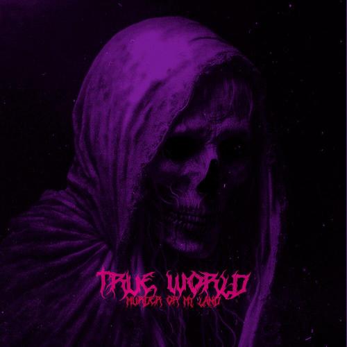 Murder On My Land - True World