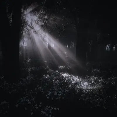 edge - True World, OSTAVITSLED