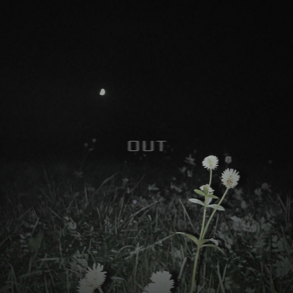 out - True World