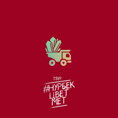 TSYP - #нурбекцветмет