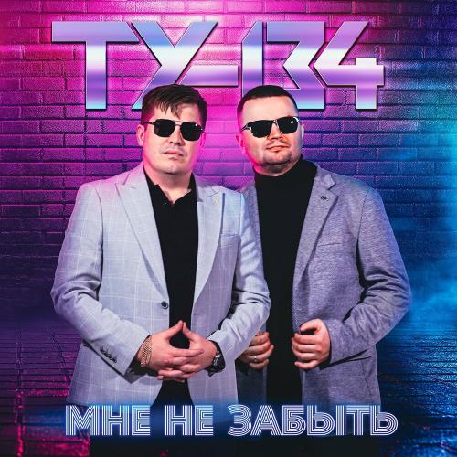 Всё что есть у меня - ТУ-134