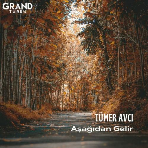 Aşağıdan Gelir - Tümer Avcı