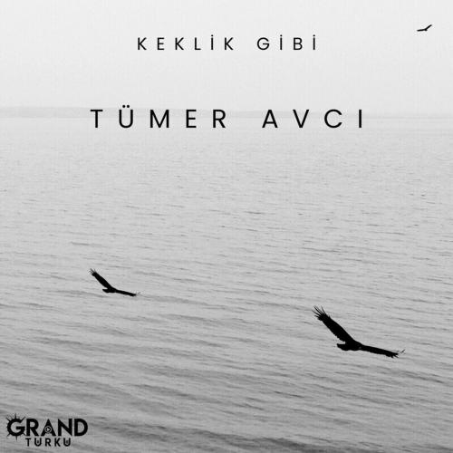 Keklik Gibi - Tümer Avcı